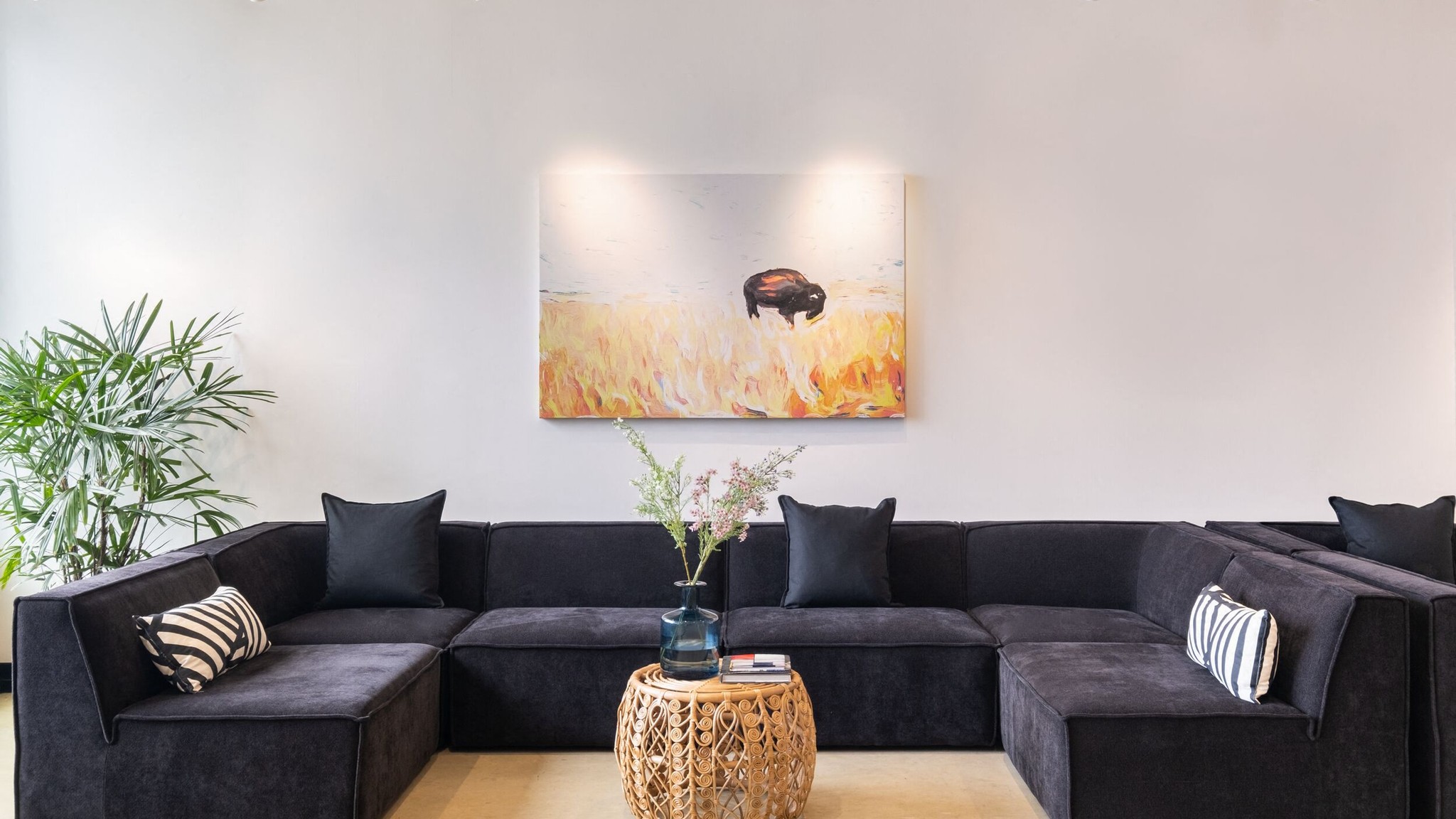 Images of The Parq
