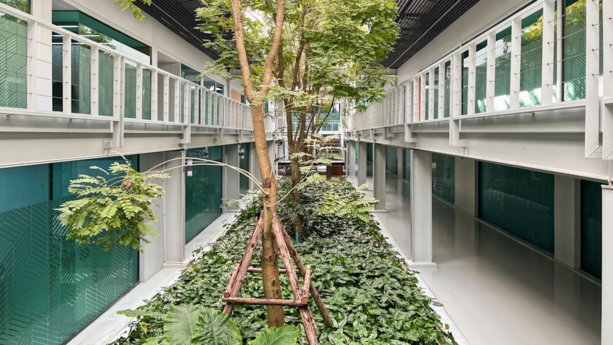 Images of The OfficePlus