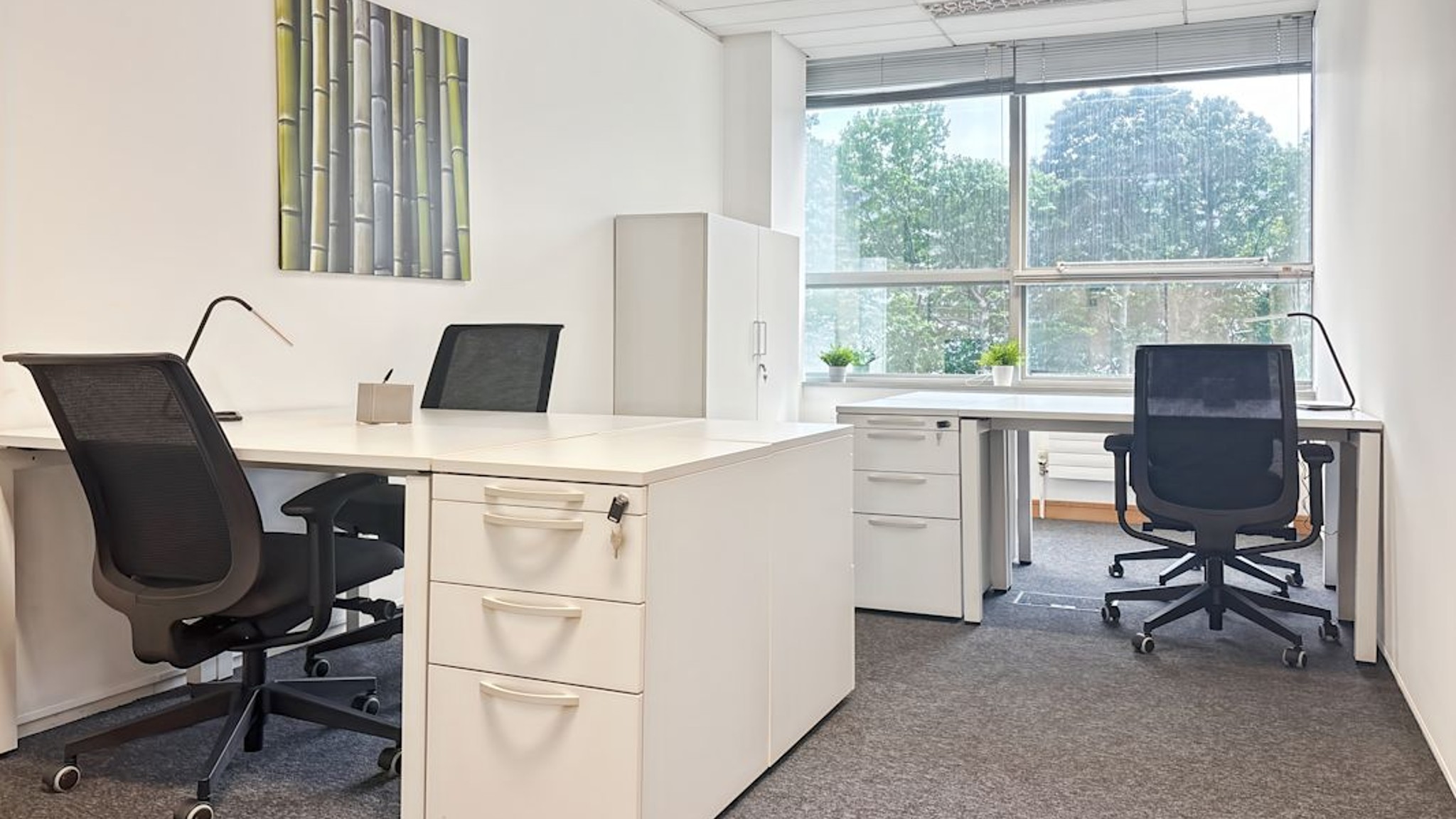 Images of Alexandra House